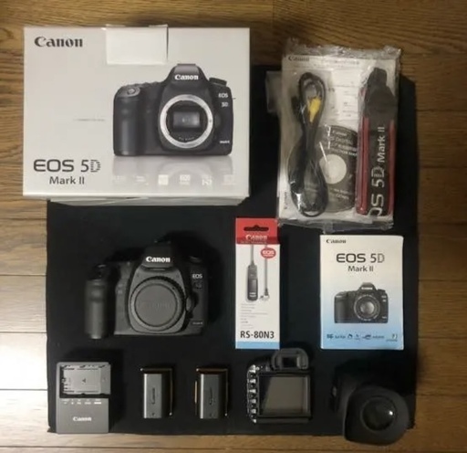 Canon EOS5D MarkIIとその他