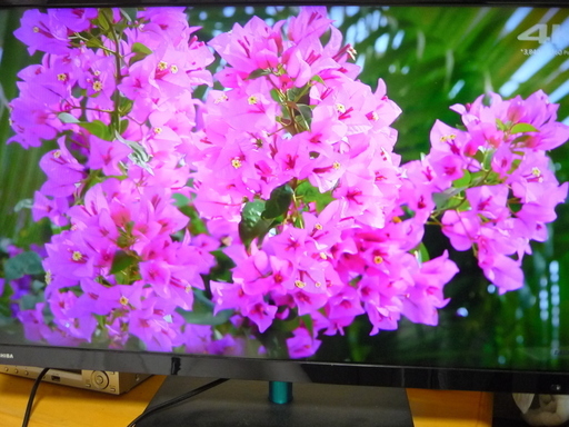 中古品　東芝 REGZA レグザ 32インチ 32S7 液晶カラーテレビ 2013年製 リモコン付
