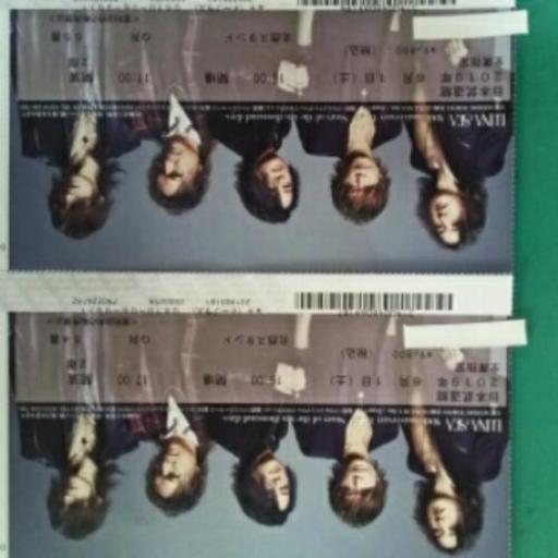 LUNA SEA　30th　武道館2枚(となり席)チケット LUNA SEA 30th 武道館2枚(となり席)チケット