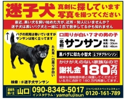 黒い迷子犬を探してます Yamafusun 鶴ヶ島の手伝って 助けての助け合い ジモティー