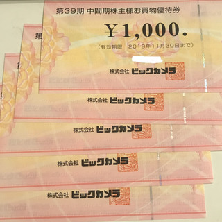 ビックカメラ 株主優待券5,000円分