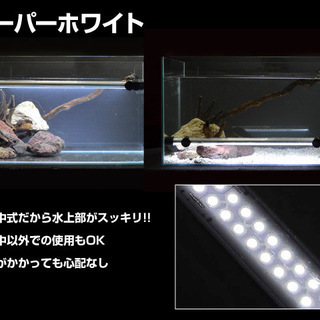 ゼンスイ アンダーウォーターLEDスリム 水中ライト 150cm