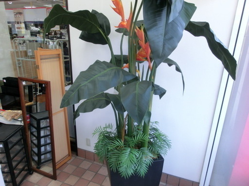 【トレファク府中店】HOUSE OF SILK FLOWERSの造花！！