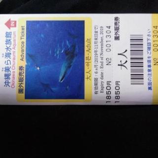 美ら海水族館の割引(前売り)チケットです。2枚でも取引きできます。