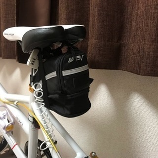 DoPPELGANGER.Interlagos550