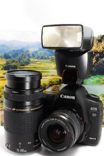 【全国対応】Canon デジタル一眼レフカメラ EOS 5D MarkⅡダブルレンズセット