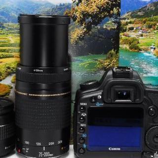 【全国対応】Canon デジタル一眼レフカメラ EOS 5D MarkⅡダブルレンズセット