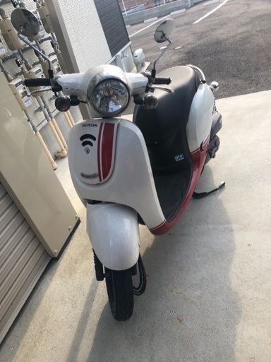 原付 ジョルノ スポルト 中古