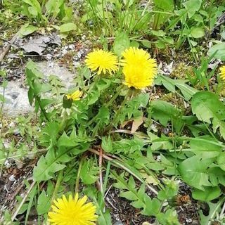 暇な時に、お食事や、カラオケ友達募集中♥️ - 福岡市