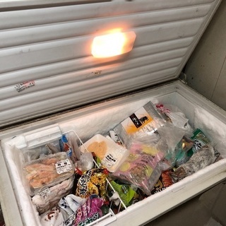 大型 冷凍庫