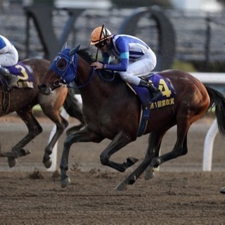 地方競馬を応援しませんか？