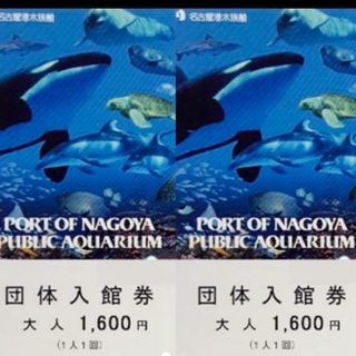 名古屋港水族館 入館券 