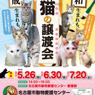 6/30(日) 名古屋市動物愛護センター主催　猫の譲渡会　名古屋...