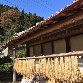 あわたま・ボランティアメンバー募集 − 徳島県