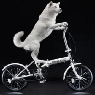 ☆未使用品☆お父さんバイク☆折りたたみ自転車☆ホワイト☆ 送料無料 新品 お父さん自転車 白 ソフトバンク 折りたたみ