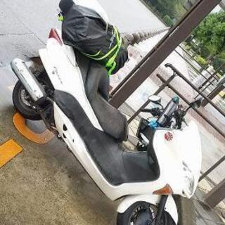 フォルッア　250  ツーリング仕様　お話し中