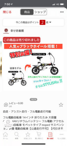 フル電動自転車 モペッド型