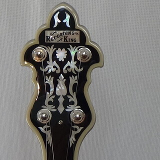 Banjo バンジョー　Recording King RK R-80 Professional