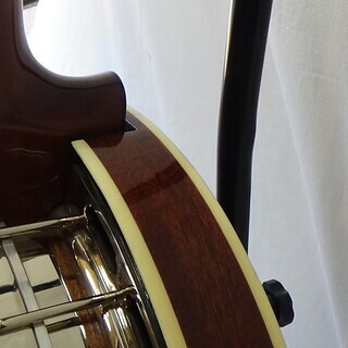 Banjo バンジョー　Recording King RK R-80 Professional