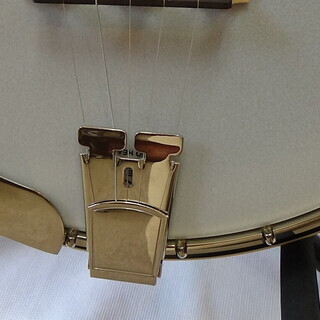 Banjo バンジョー　Recording King RK R-80 Professional