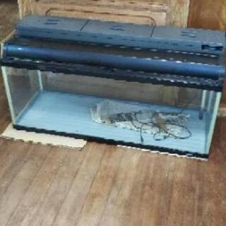 【売ります】120cm水槽