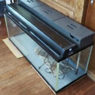 【売ります】120cm水槽