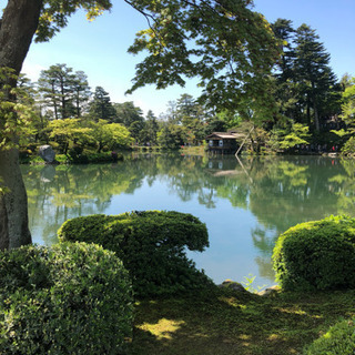 遊んだり飲んだり出来る友だち募集！の画像