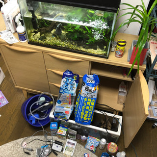 60センチ水槽 （写真の水槽セットすべて込み）