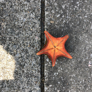 学生の釣り仲間募集！！！