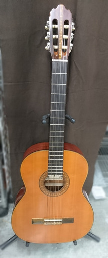 【白樺】ｸﾗｼｯｸｷﾞﾀｰ販売中