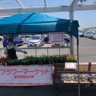 3時間で5000円　つくば市要　お花屋さん　