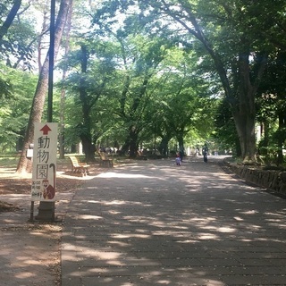 第5回大宮公園パークヨガ(氷川神社近く)
