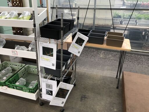 花木流通センターへメダカを出品します 6 1の内容です Celeru 前橋のその他の中古あげます 譲ります ジモティーで不用品の処分