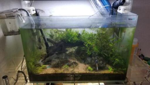 60cm定格水槽セット