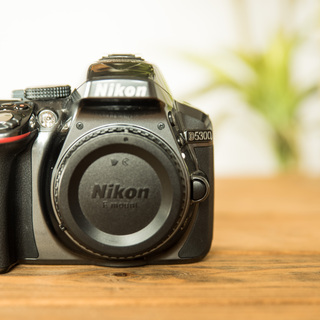 商談成立【Nikon 一眼レフ　D5300　ボディ　グレー】