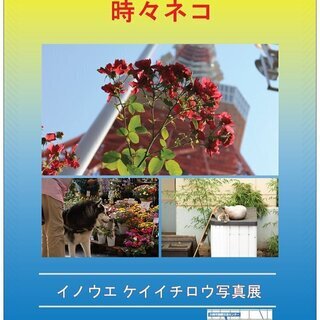 花と小父さん…時々ネコ 井上圭一郎写真展