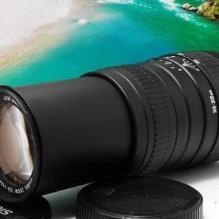 SIGMA 100-300mm Canon用 望遠レンズ 美品 a3962 SIGMA 100-300mm Canon用 望遠レンズ 美品 a3962 SIGMA 100-300mm