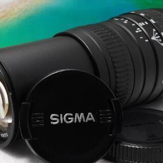 新品級 Canon用 ☆シグマレンズ 100－300mm