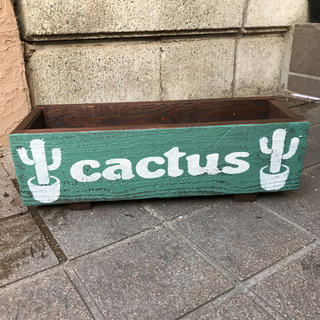 木製プランター＊cactus＊