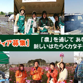 縄文ファーム:農業ボランティアメンバー募集