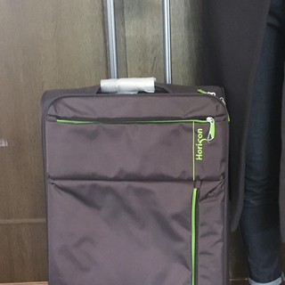 茶色 スーツケース /ソフト（フランスのスーパーにて購入）