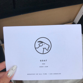 パリ限定モデル！NIKE AIR JORDAN 1 スニーカー！