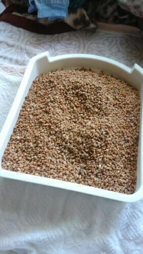 麦飯石 中古 底砂 水槽器具 オムツイス 新町のその他の中古あげます 譲ります ジモティーで不用品の処分