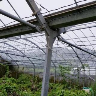 ビニールハウス鉄骨 サイモン誉 島尻のその他の中古あげます 譲ります ジモティーで不用品の処分 ビニールハウス鉄骨 サイモン誉 島尻のその他の中古あげます 譲ります ジモティーで不用品の処分
