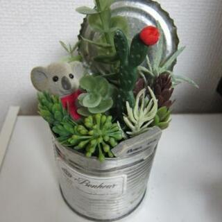 多肉植物フェイク　コアラ