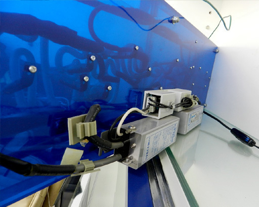 ネオンサイン ココス パーム 【Cocos Perme】 ネオン看板 飲食店 注文  