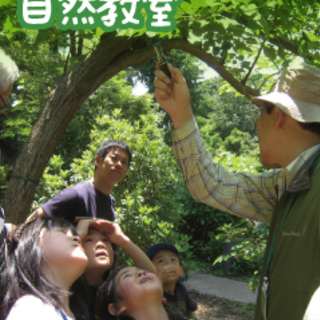 こどもweek　 自然・日本の文化を再発見！ 「ゲームより面白い自然教室」の画像