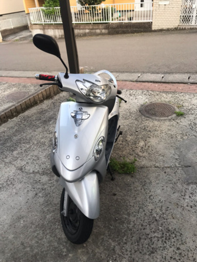 引き取り先決定