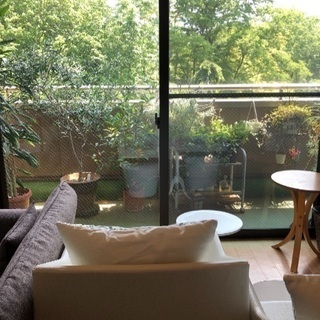 頭蓋骨小顔矯正 首肩リンパ 60分オイル付き Star Esthe つくばのその他の無料広告 無料掲載の掲示板 ジモティー