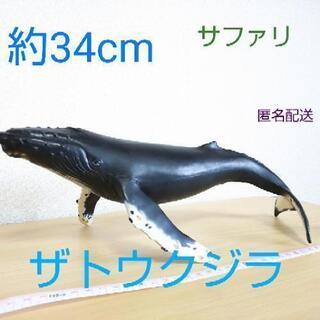 約34cm サファリの大きなザトウクジラ フィギュア